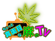 史上初！大麻草のテレビ番組